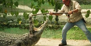 Zoo Crocodile Park